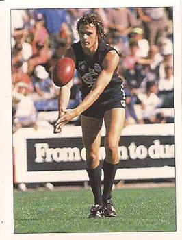 1992 Select AFL Stickers #52 Andrew Cavedon Front